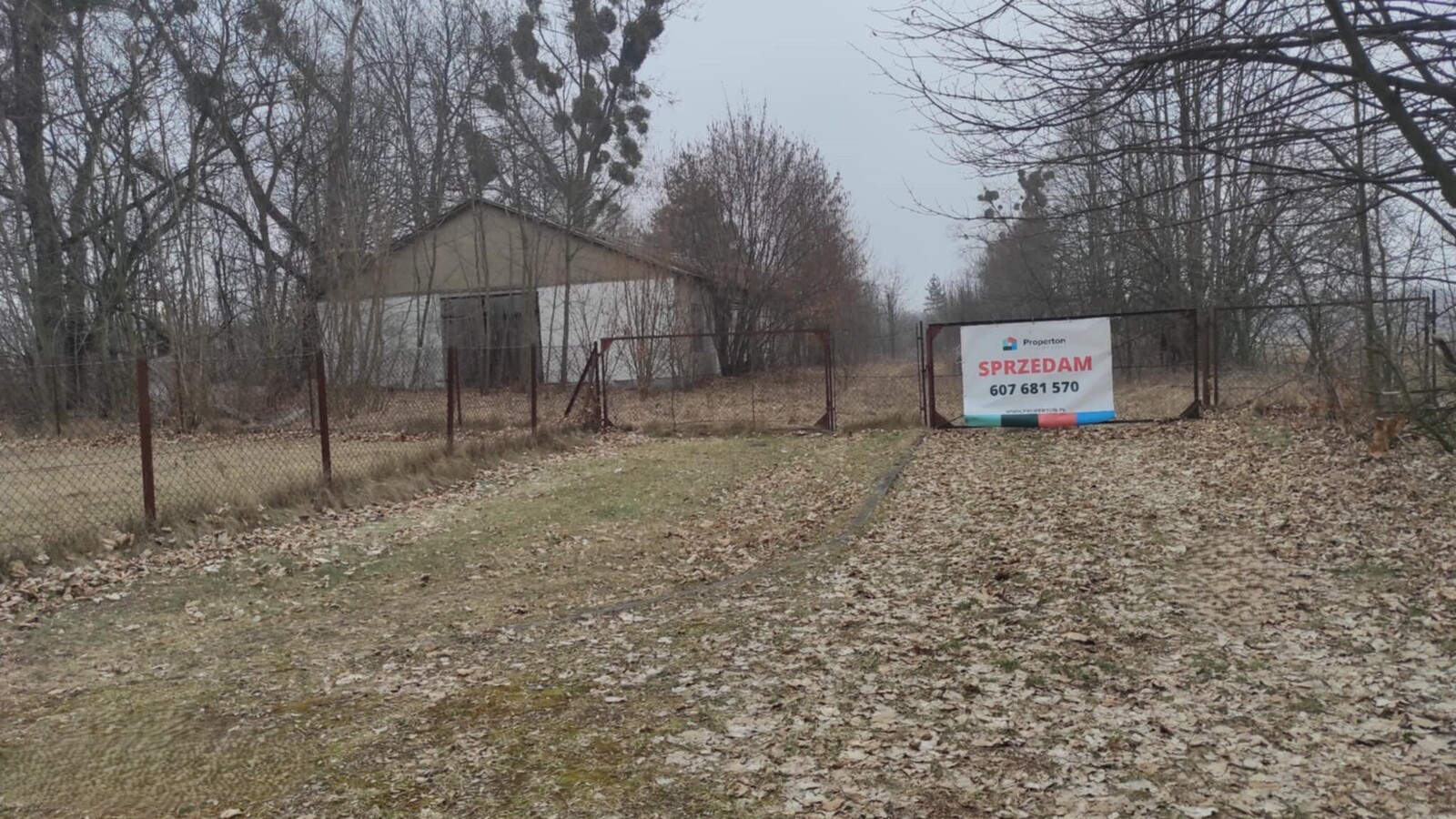 Działka komercyjna Zaborze, blisko Kazimierza