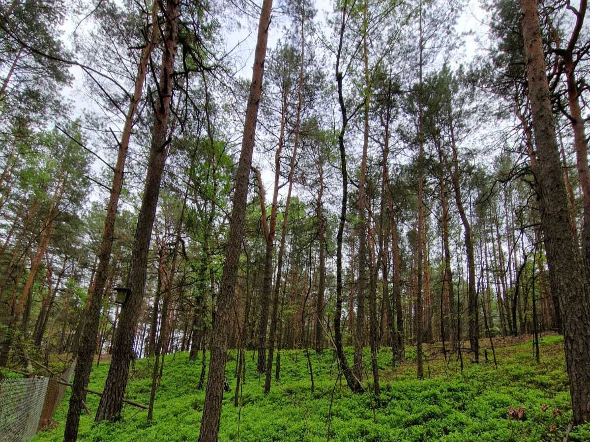 Prywatny azyl blisko Warszawy – działka 900m²