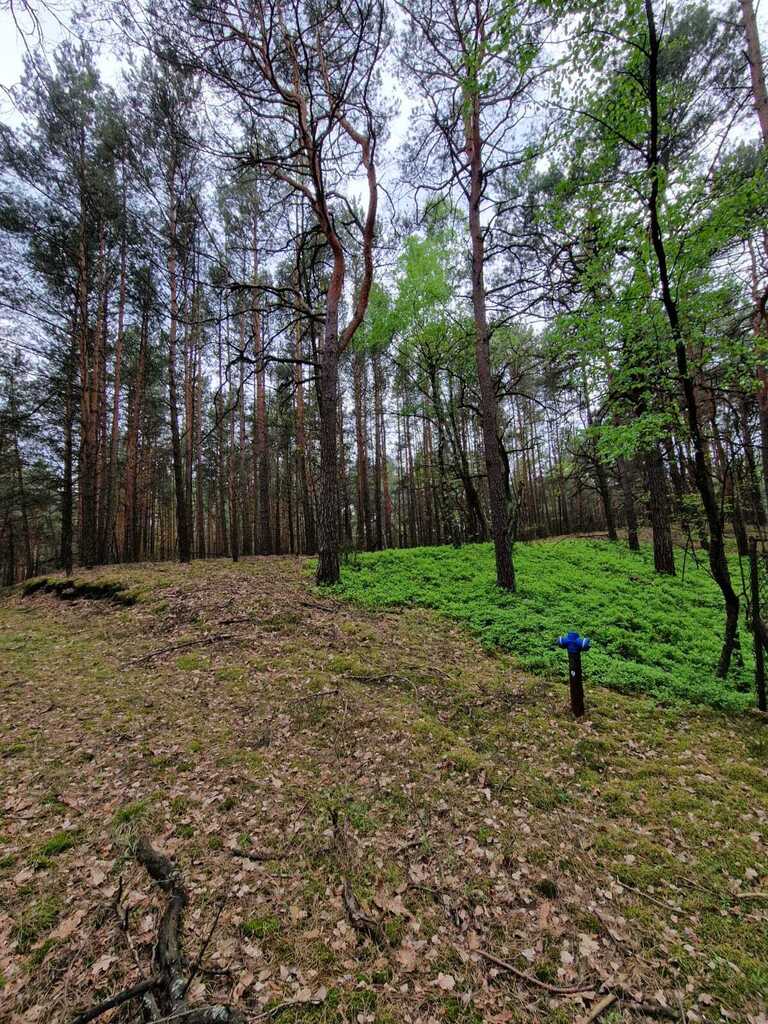 Prywatny azyl blisko Warszawy – działka 900m² - zdjęcie 2