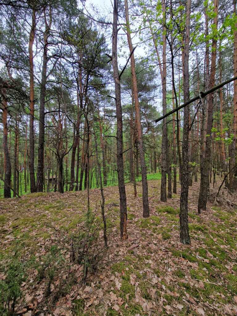 Prywatny azyl blisko Warszawy – działka 900m² - zdjęcie 3