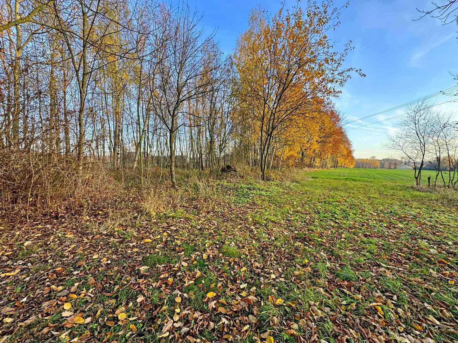 Działka bud-rolna Łomnica/Garwolin -2,47 ha