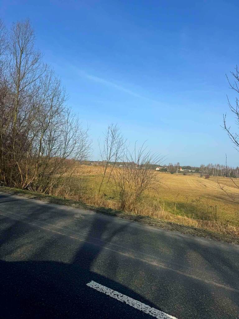 Opole Lubelskie – duża działka rolna 4 822 m² - zdjęcie 2