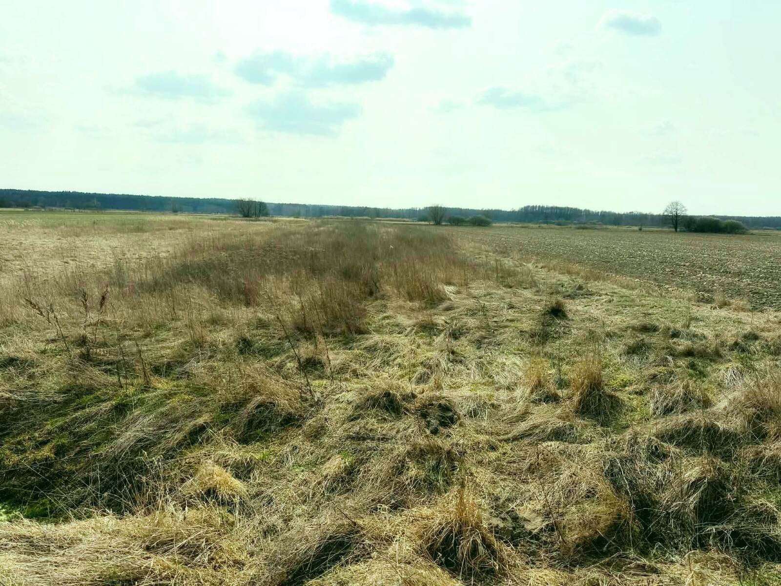 Na sprzedaz działka rolna gm Baranów 3562 m2