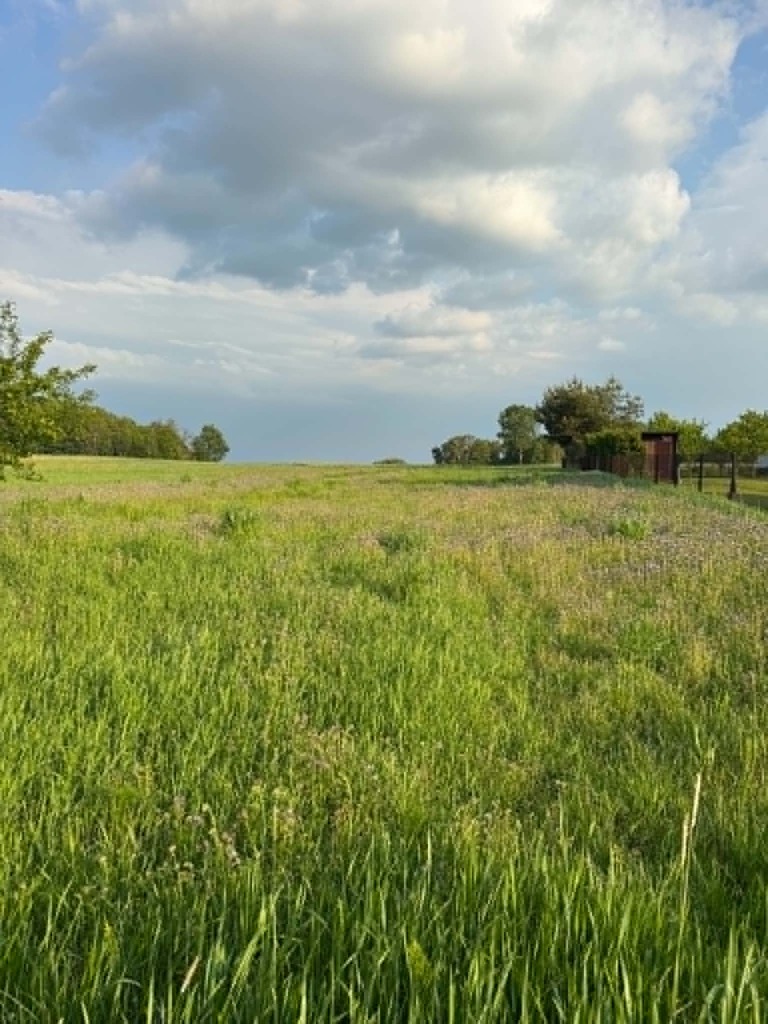Działka bud.pod Garwolinem 1200 m2 - zdjęcie 5