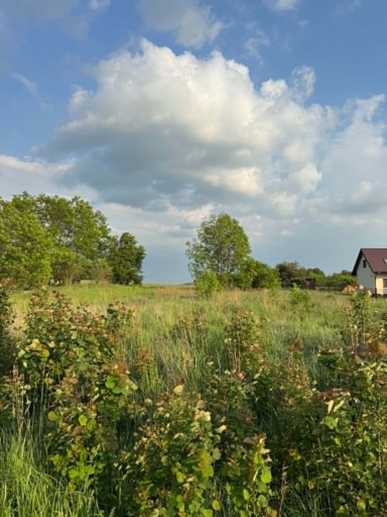 Działka bud.pod Garwolinem 1200 m2 - zdjęcie 3