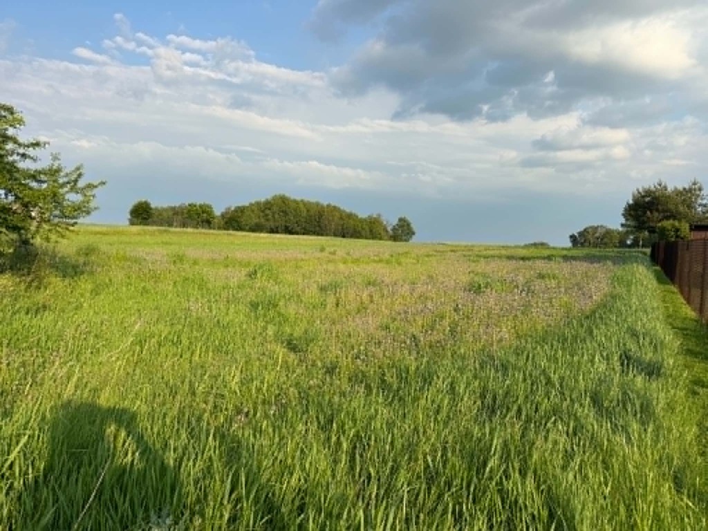 Działka bud.pod Garwolinem 1200 m2 - zdjęcie 4