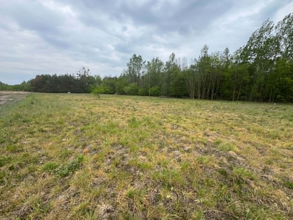 Działka 1661 m² z WZ – dom jed. Maciejowice - zdjęcie 6