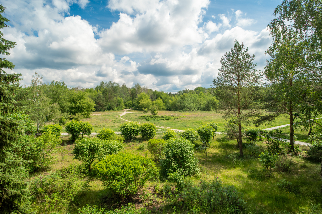 3 pokoje z widokiem na zieleń | 59,53 m² - zdjęcie 9
