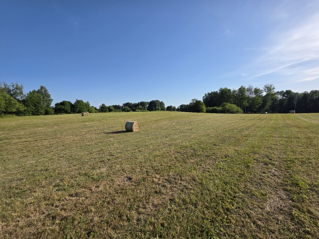 Atrakcyjna działka rolna 1,50 ha – Butryny