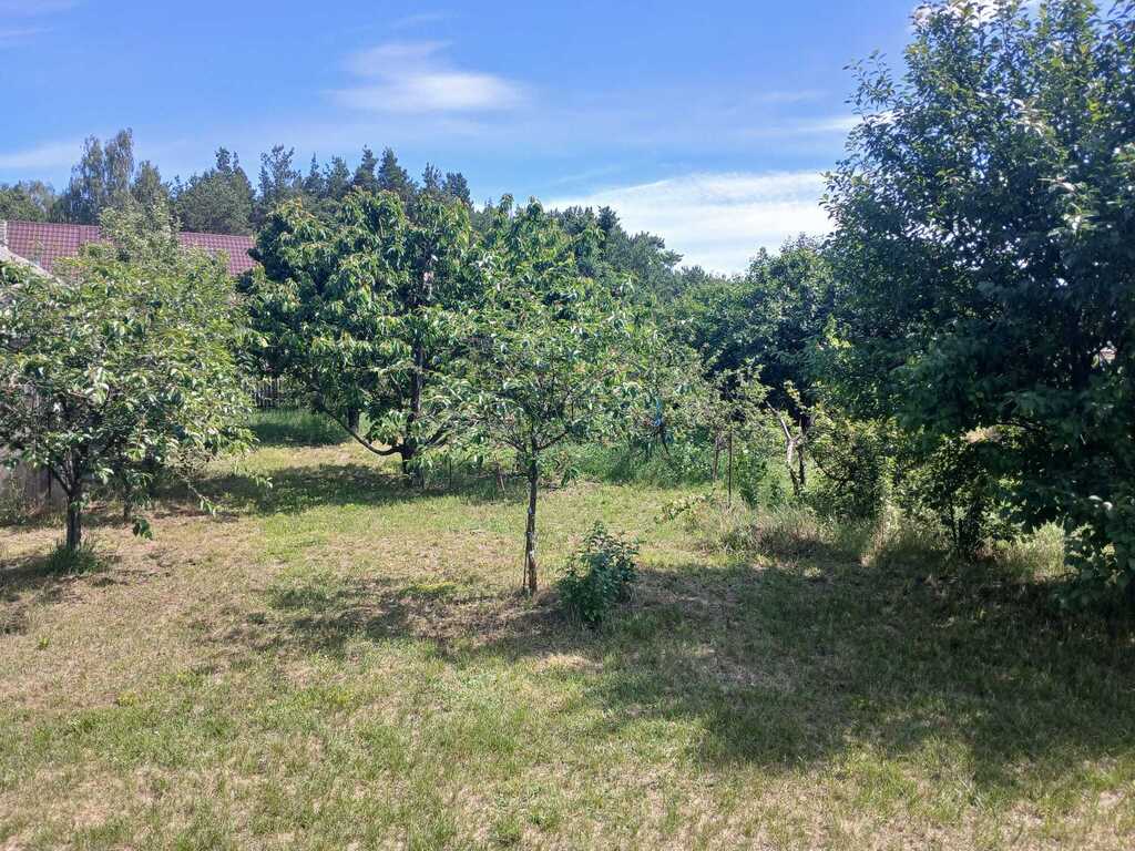 Dom z dużą działką 5600 m² – Goreń Duży - zdjęcie 5