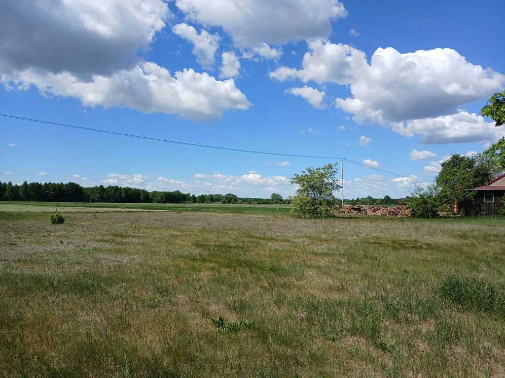 Dom z dużą działką 5600 m² – Goreń Duży - zdjęcie 12