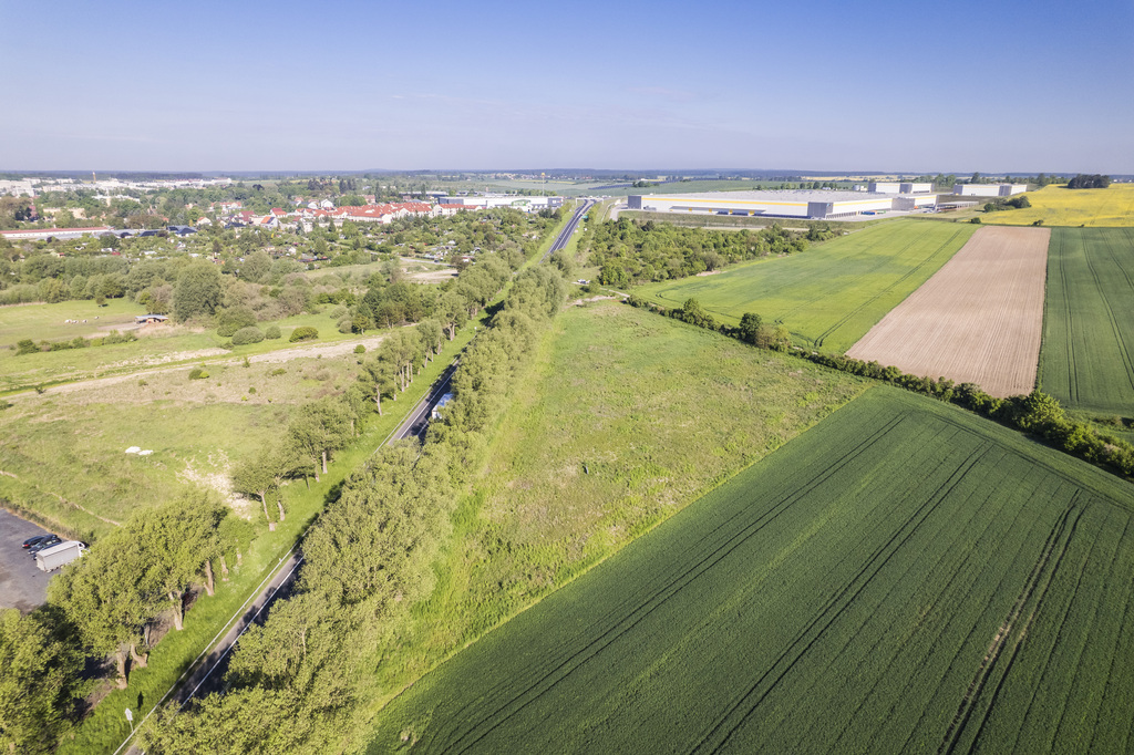 Na sprzedaż działka inwestycyjna 16 600 m² - zdjęcie 5