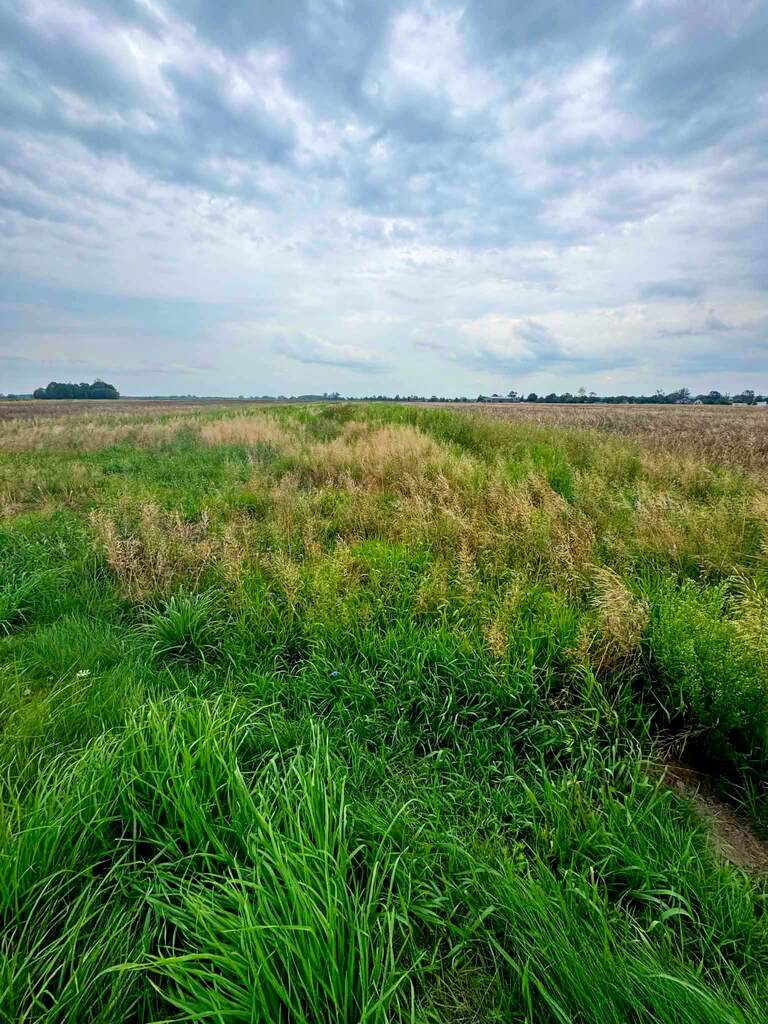 Garwolin 9 166 m² Plan MNU/możliwość podziału - zdjęcie 3