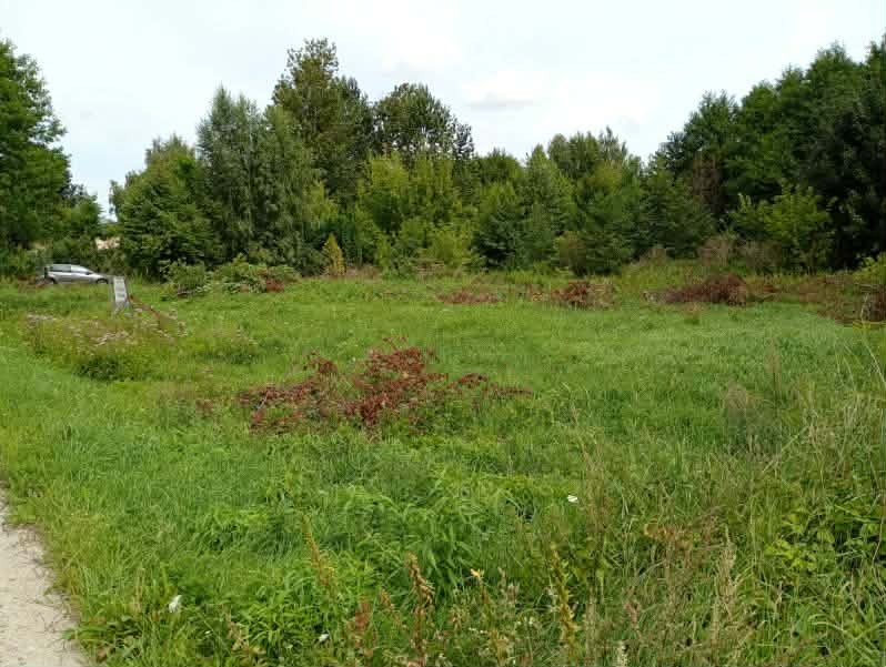 Działka 900 m2 Łowicz Jastrzębia około nr 8