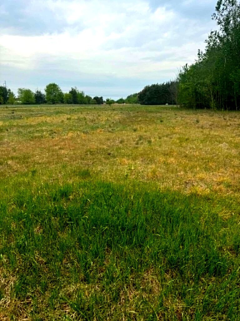 Działka 1661 m² z WZ – dom jed. Maciejowice - zdjęcie 2