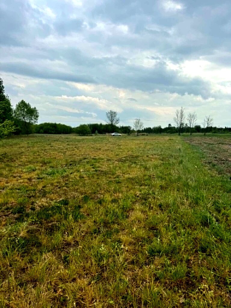 Działka 1661 m² z WZ – dom jed. Maciejowice - zdjęcie 3