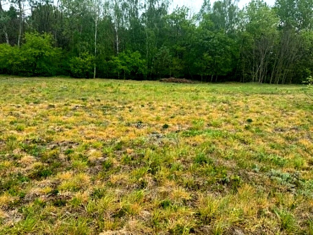 Działka 1661 m² z WZ – dom jed. Maciejowice - zdjęcie 4