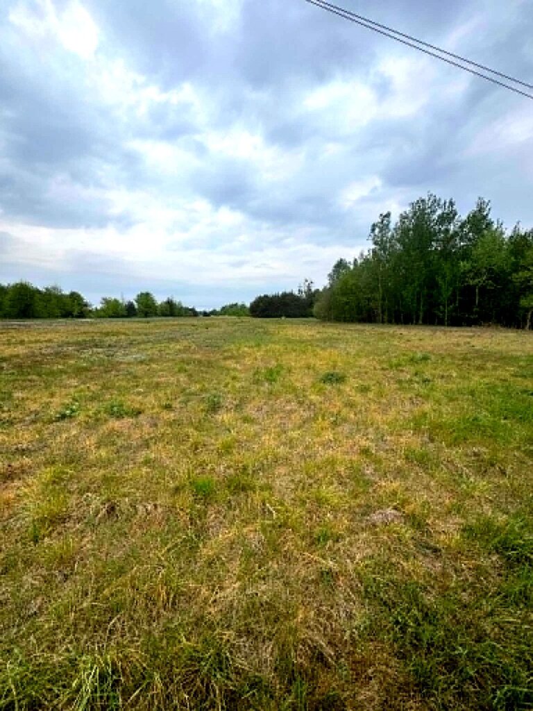Działka 1661 m² z WZ – dom jed. Maciejowice - zdjęcie 5