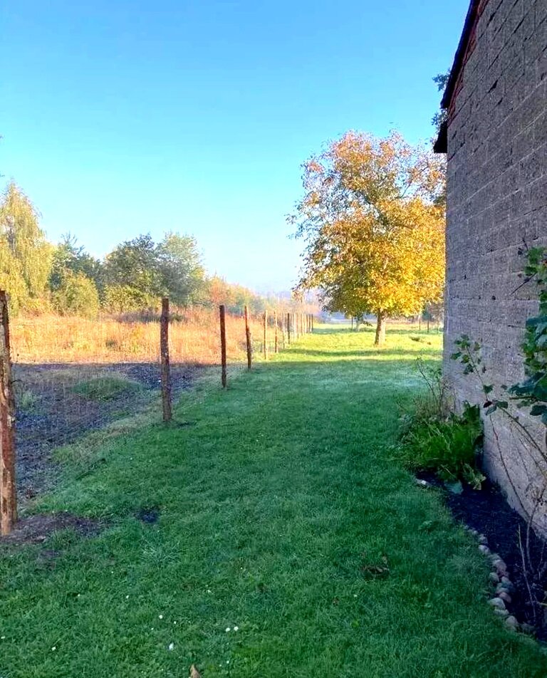 Dom w cenie mieszkania 70m² | Działka ponad 4000m² - zdjęcie 15