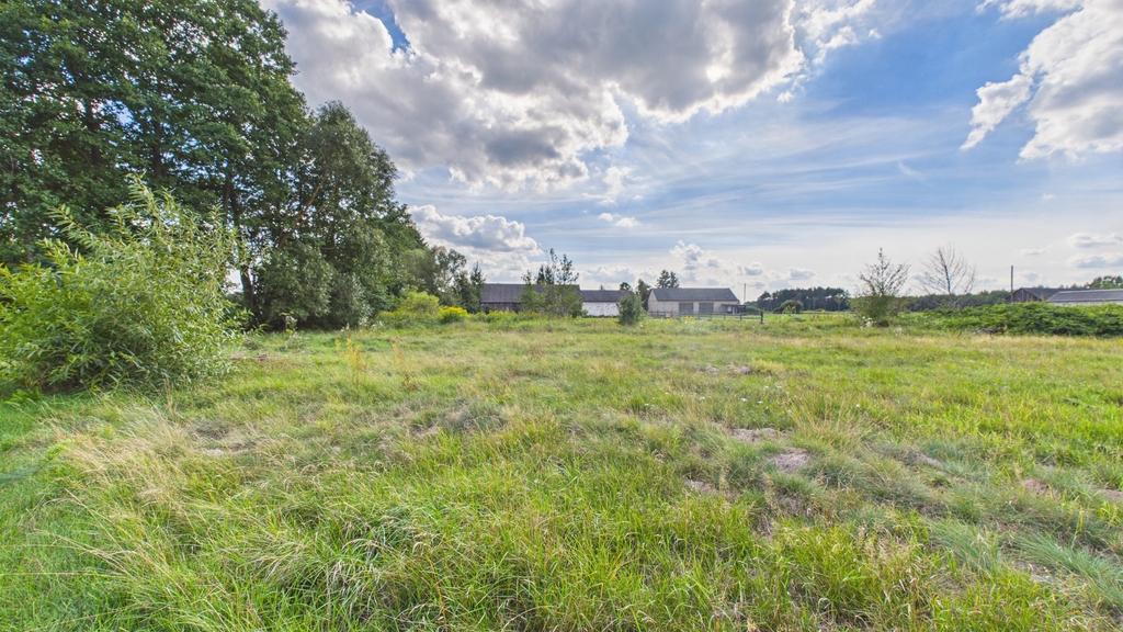 Siedlisko 6900 m² z domem i zabudowaniami - zdjęcie 19