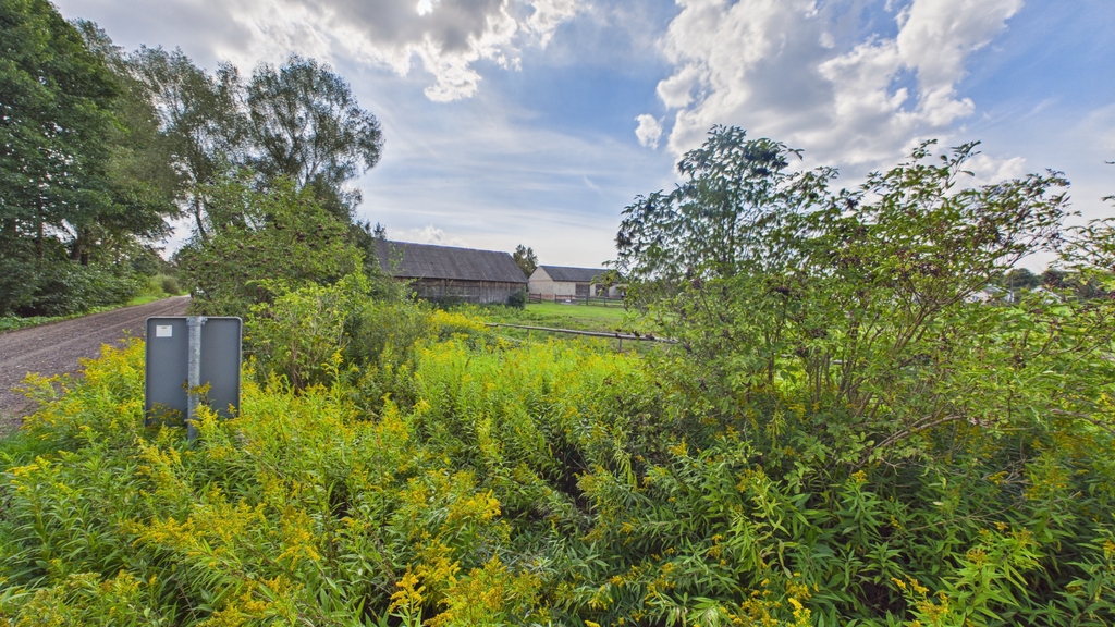 Siedlisko 6900 m² z domem i zabudowaniami - zdjęcie 20