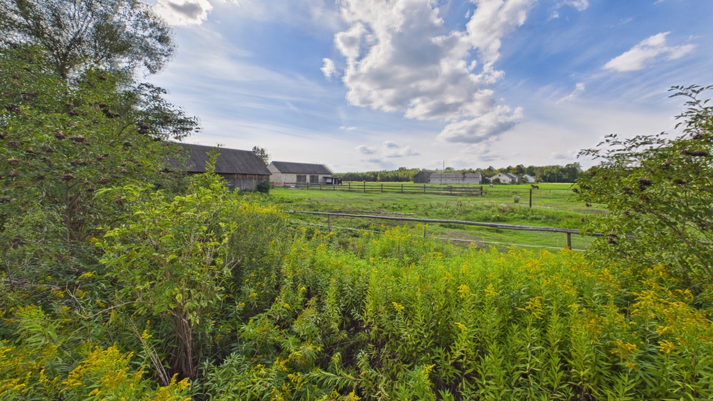 Siedlisko 6900 m² z domem i zabudowaniami - zdjęcie 18