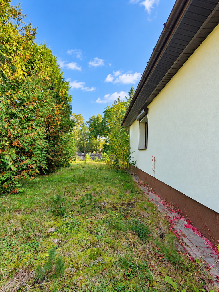 Dom w lesie – Leśniczówka bez sąsiadów - zdjęcie 4