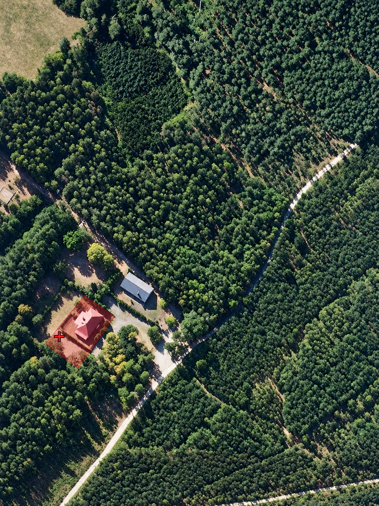 Dom w lesie – Leśniczówka bez sąsiadów - zdjęcie 9