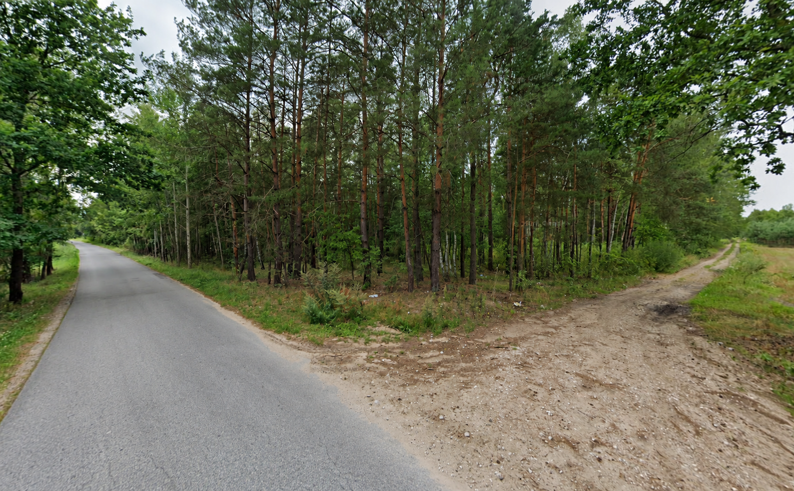 7,52 ha w otoczeniu zieleni | Piróg, gmina Stromiec