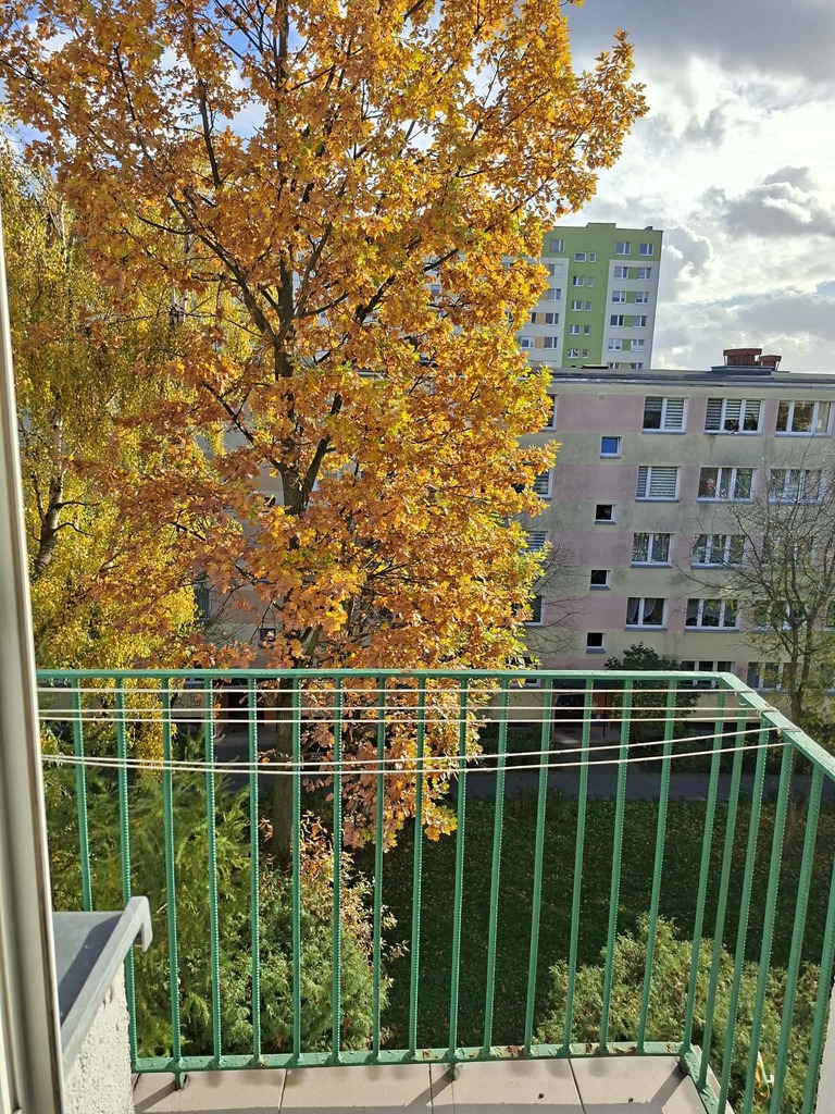 2 pokoje z balkonem | Piotrków Tryb. | 229 000 zł - zdjęcie 4