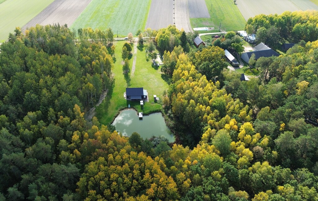 Dom z antresolą, stawem i lasem | 2,7 ha | Skórzec - zdjęcie 5